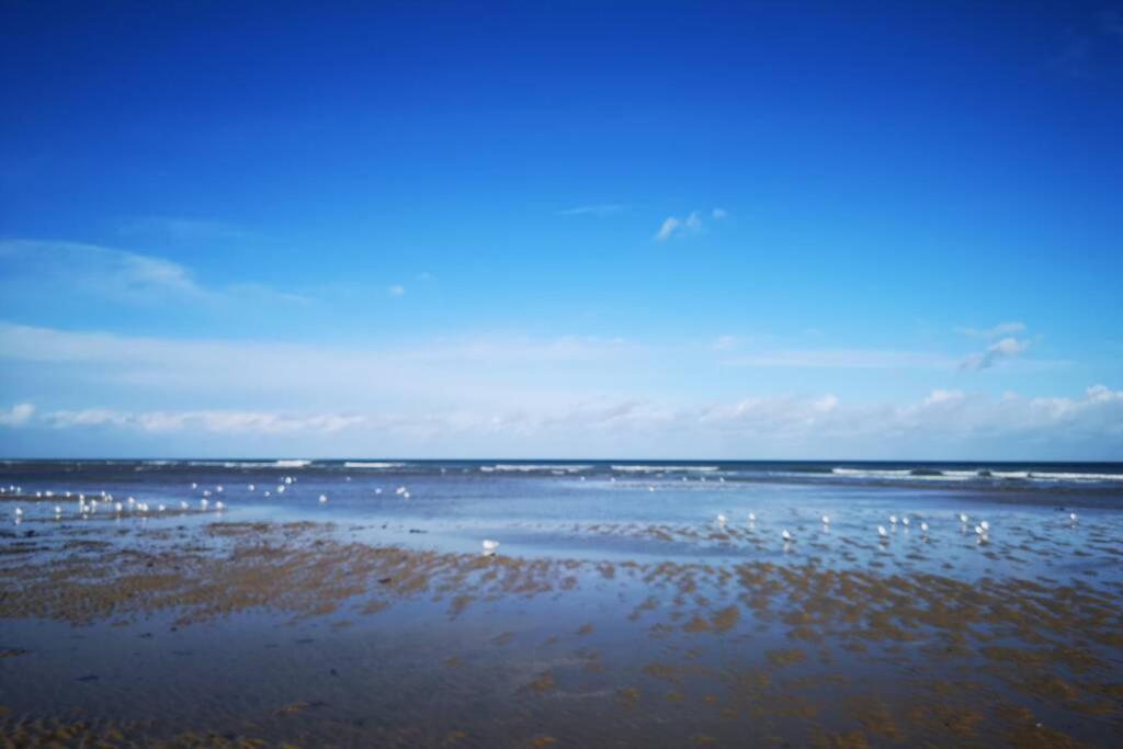 Ferienwohnung Studio Vue Mer 180° A 200 M De La Plage En Normandie +Parking Courseulles-sur-Mer Exterior foto